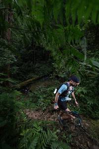 BIB: 
                            <button type="button" onclick="openModal(16029366)" class="btn btn-primary btn-sm float-right btn-popup" data-toggle="modal" data-target=".modal-high-quality">
                        <i class="fas fa-shopping-cart"></i> Add to Cart
                    </button>
                                            <button type="button" onclick="isThisMe(16029366, true)" class="btn btn-success btn-sm float-right btn-popup btn-isme hidden" data-toggle="tooltip" data-placement="bottom" title="นี่คือรูปของคุณใช่ไหม คลิกที่นี่เพื่อเอาเข้าอัลบั้ม">
                        <i class="fas fa-plus"></i> Add to album
                    </button>
                    <button type="button" onclick="isThisMe(16029366, false)" class="btn btn-warning btn-sm float-right btn-popup btn-isnotme hidden">
                        <i class="fas fa-ban"></i> Remove from album
                    </button>